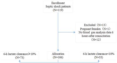 Norepinephrine Dosage Is Associated With Lactate Clearance After Resuscitation in Patients With Septic Shock